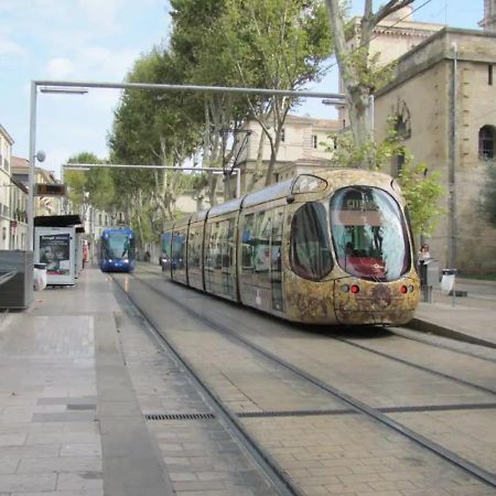 Magnifique 2 Pieces - Plein Centre - Tram 1 Min Daire Montpellier Dış mekan fotoğraf