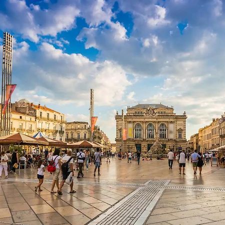 Magnifique 2 Pieces - Plein Centre - Tram 1 Min Daire Montpellier Dış mekan fotoğraf