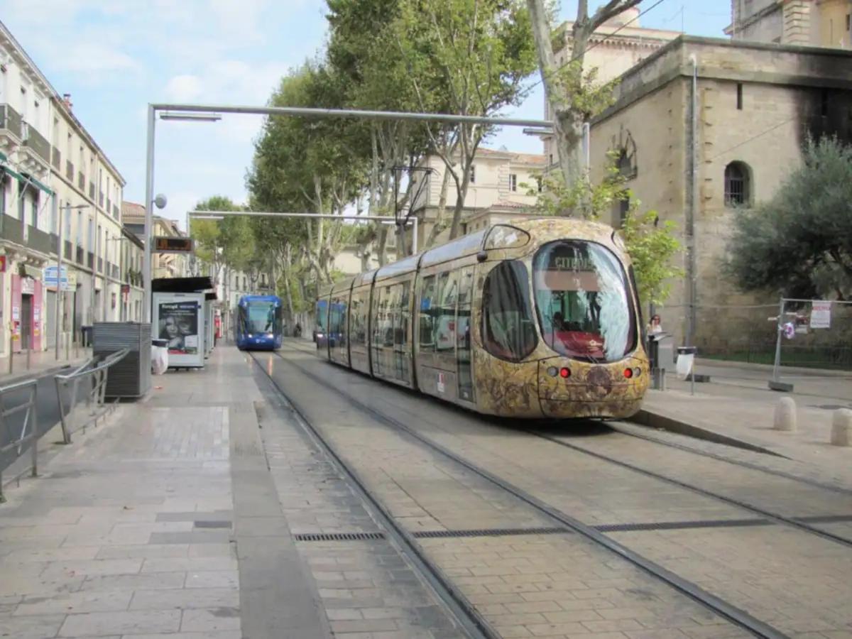 Magnifique 2 Pieces - Plein Centre - Tram 1 Min Daire Montpellier Dış mekan fotoğraf